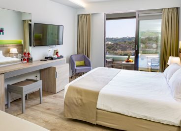 Standard Mountain View Room
